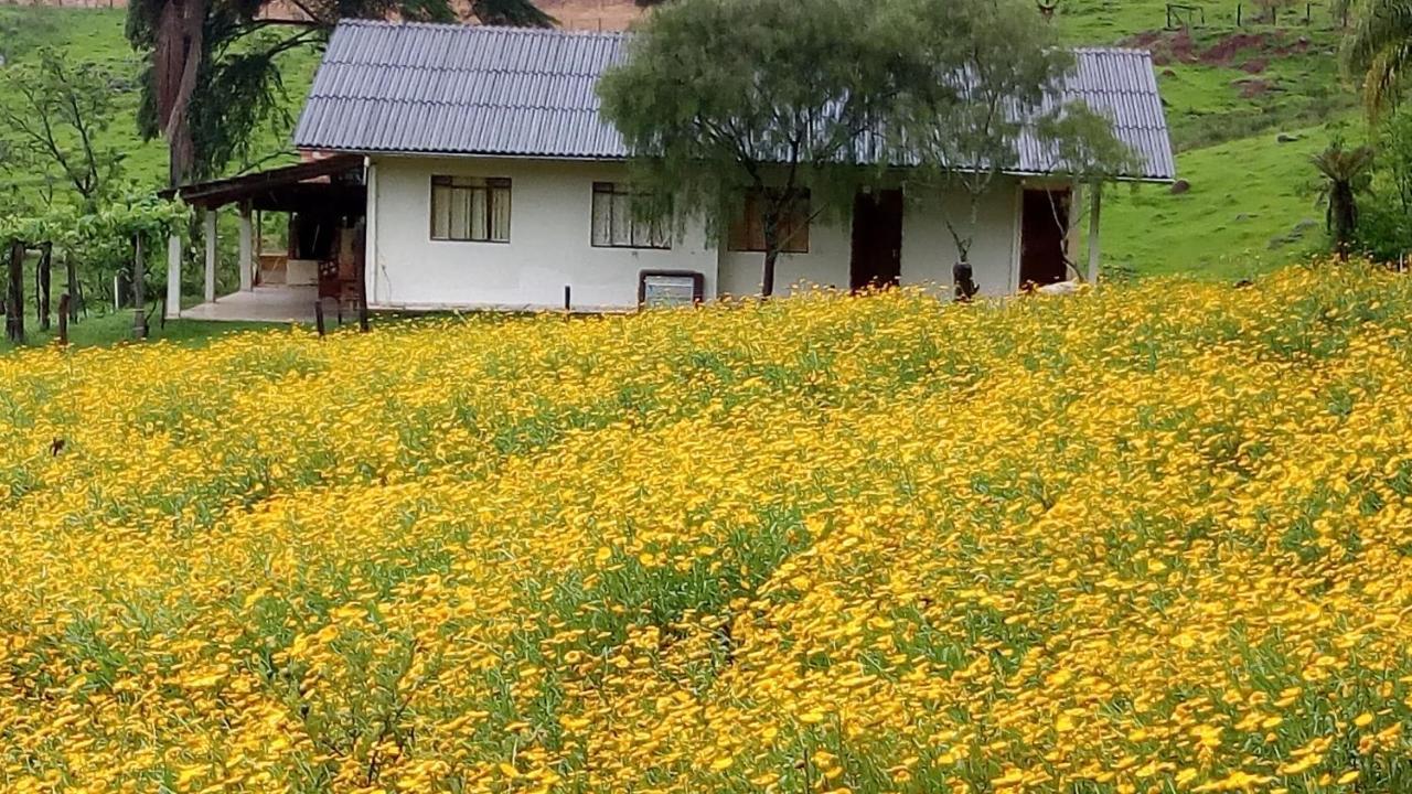 Sitio Kanisfluh Treze Tílias エクステリア 写真